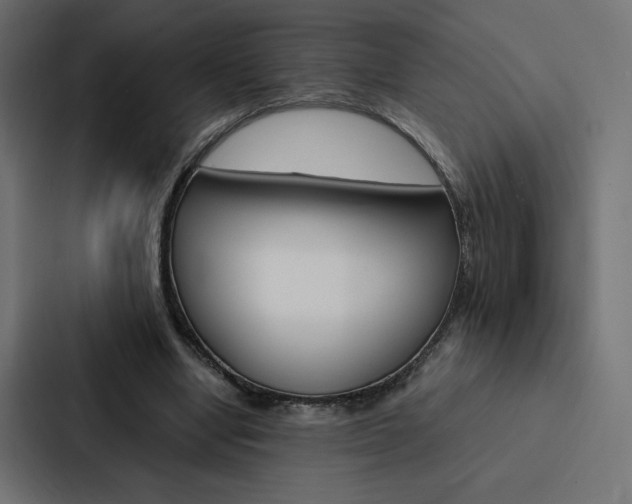 X0000088190442200705151002