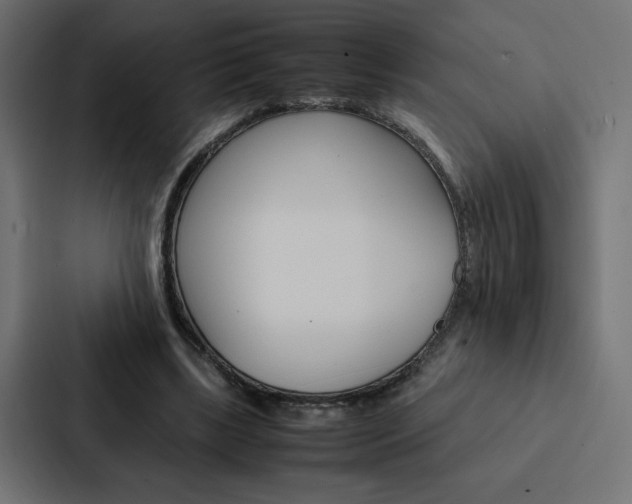 X0000088190443200705151002