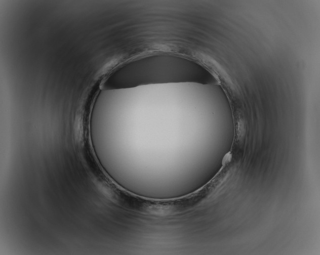 X0000088190444200705151002