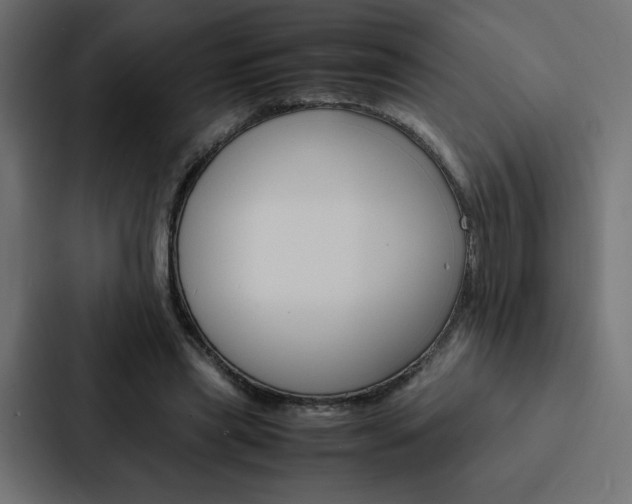 X0000088190445200705151002