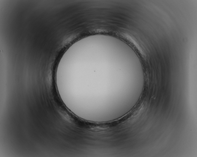 X0000088190447200705151002