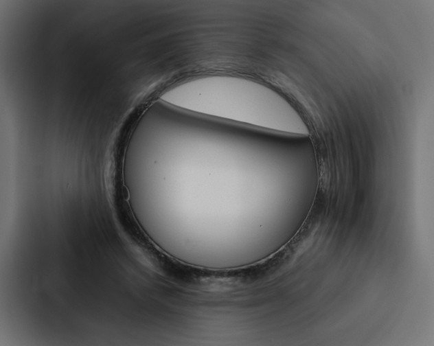 X0000088190448200705151002