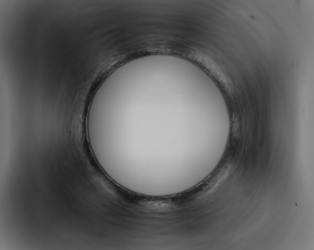 X0000088190449200705151002