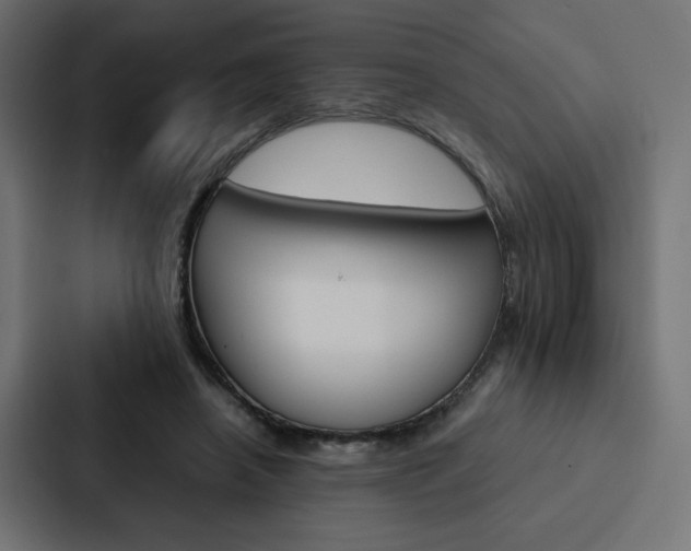 X0000088190450200705151002