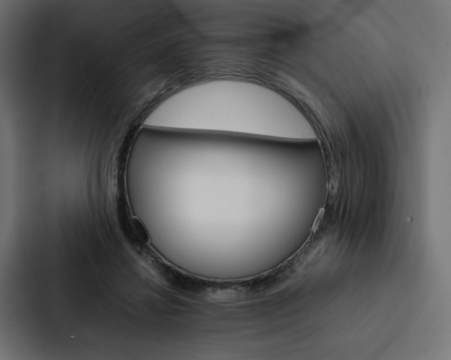X0000088190452200705151002