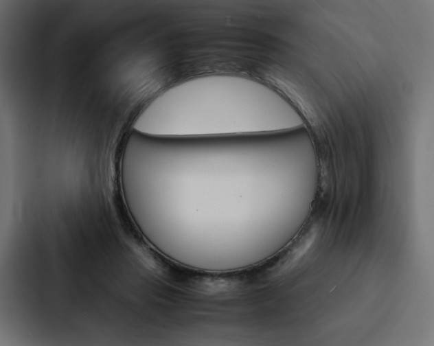 X0000088190453200705151002