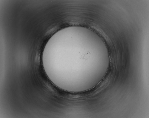 X0000088190454200705151002