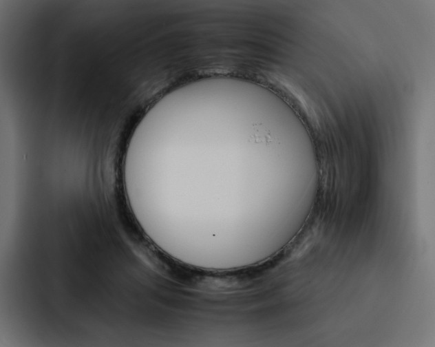 X0000088190455200705151003
