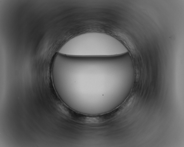 X0000088190457200705151003