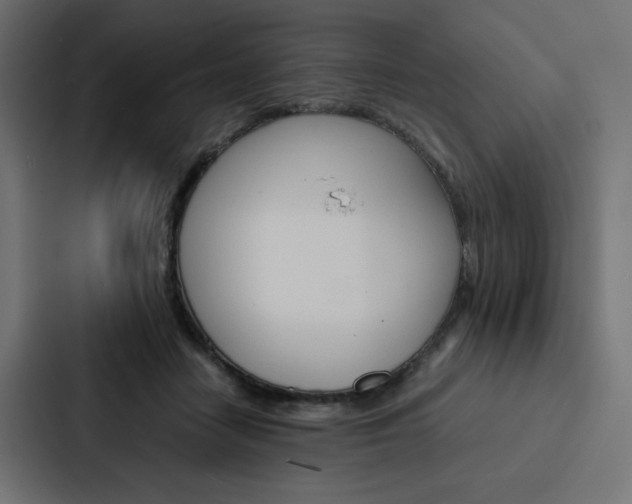 X0000088190458200705151003