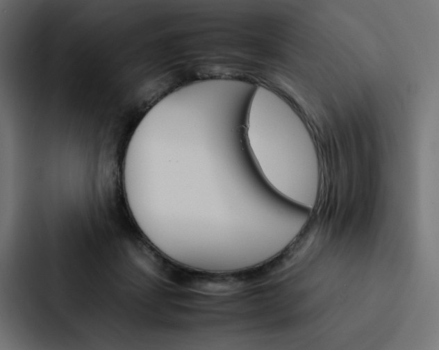 X0000088190459200705151003