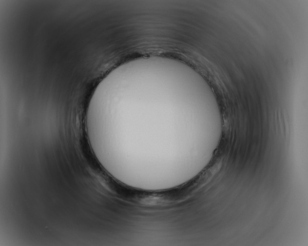 X0000088190460200705151003