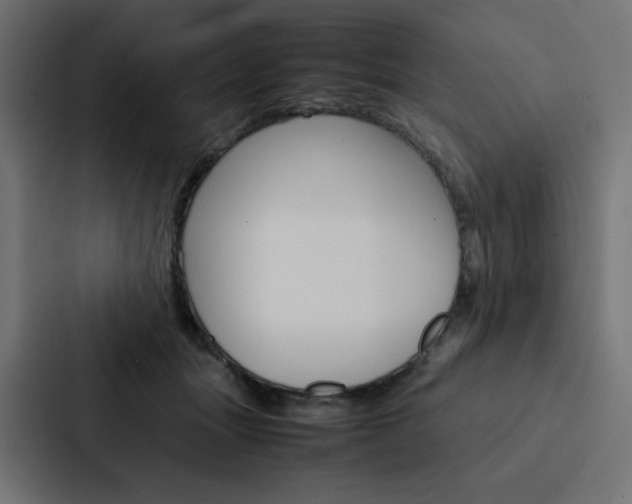 X0000088190463200705151003