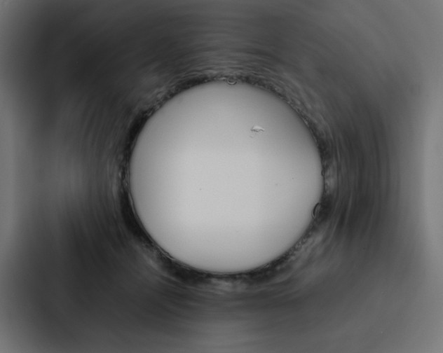 X0000088190464200705151003
