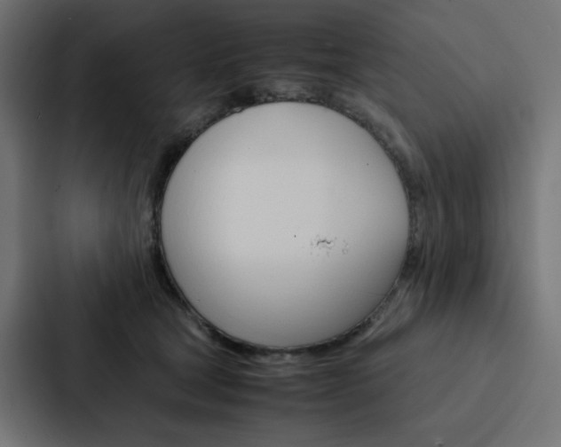 X0000088190465200705151003