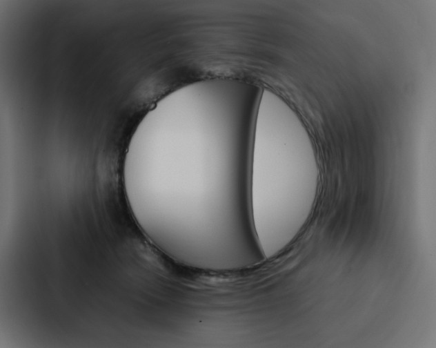 X0000088190466200705151003