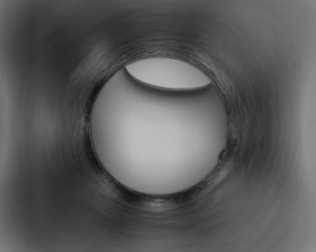 X0000088190467200705151003