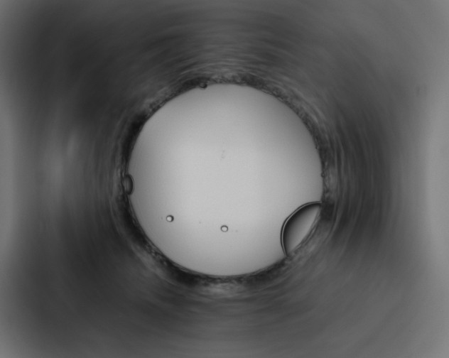 X0000088190468200705151003