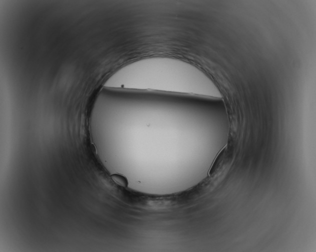 X0000088190470200705151003