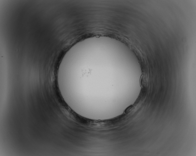 X0000088190472200705151003
