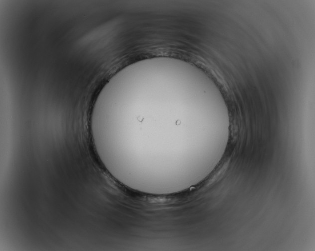 X0000088190473200705151003