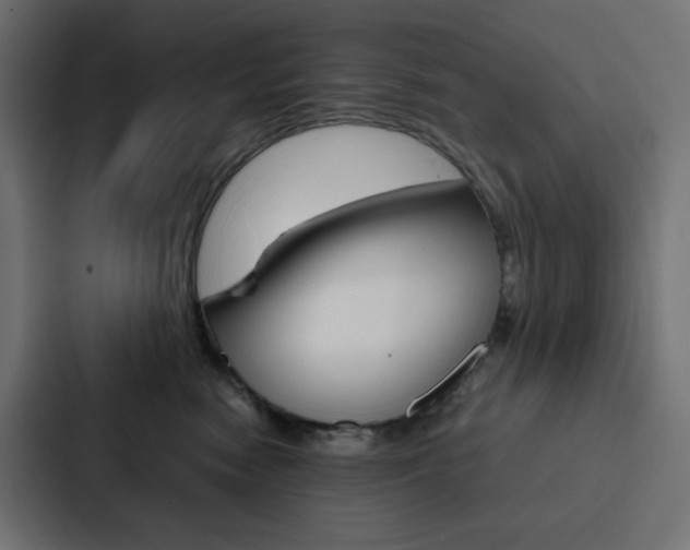 X0000088190474200705151003