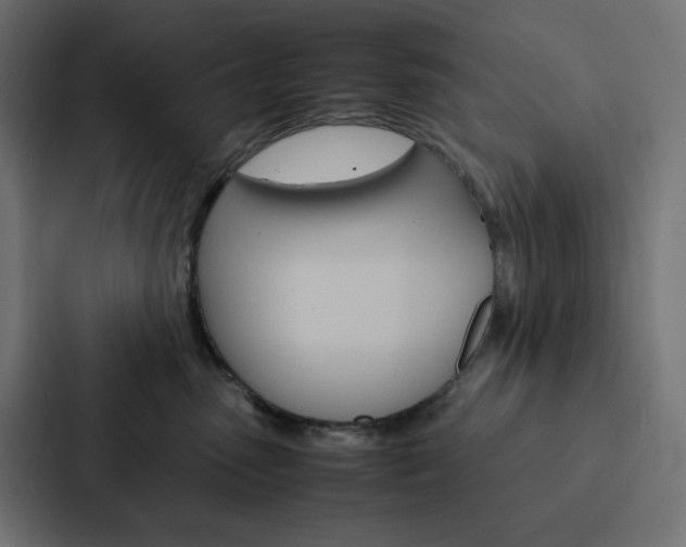 X0000088190475200705151003