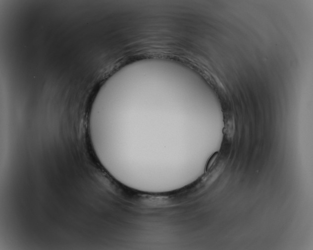 X0000088190476200705151003