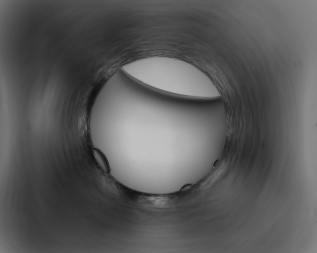 X0000088190478200705151003