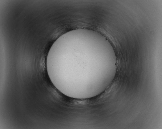 X0000088190479200705151003
