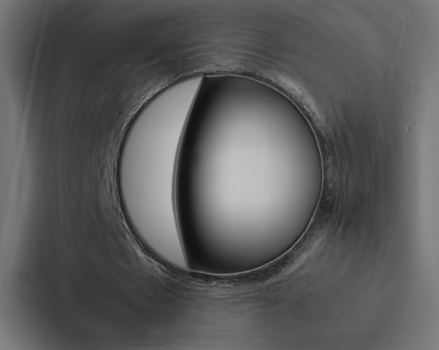 X0000088190481200705151002