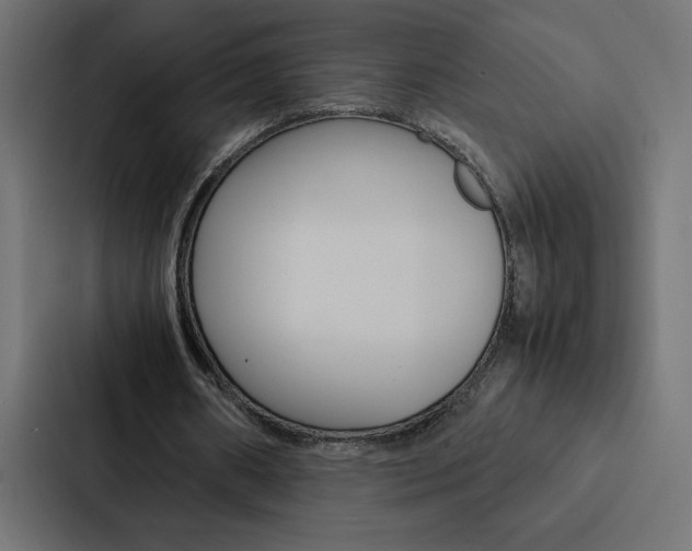 X0000088190482200705151002