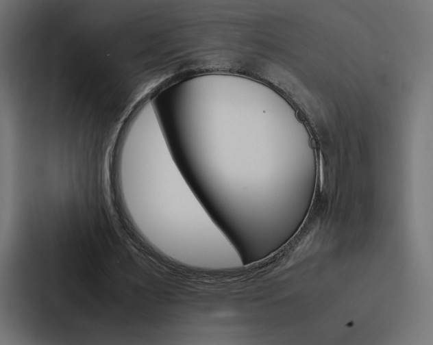 X0000088190483200705151002