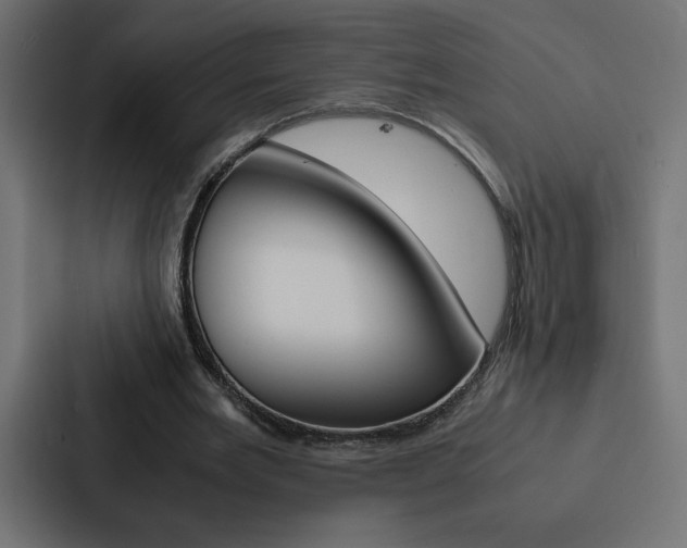 X0000088190485200705151002