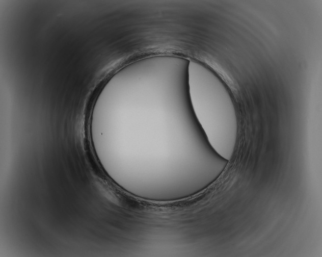X0000088190486200705151002