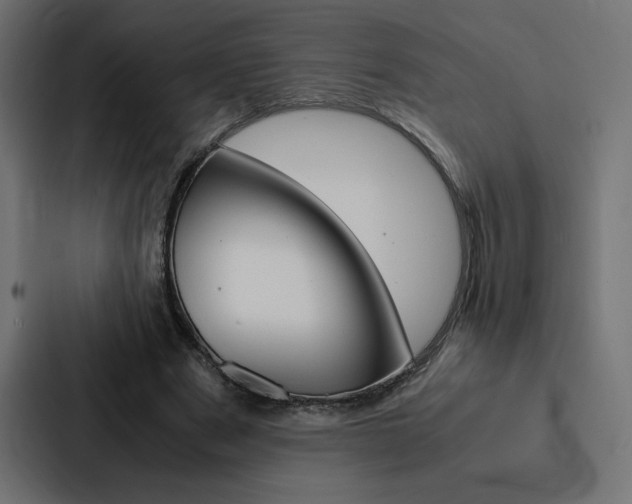 X0000088190489200705151002