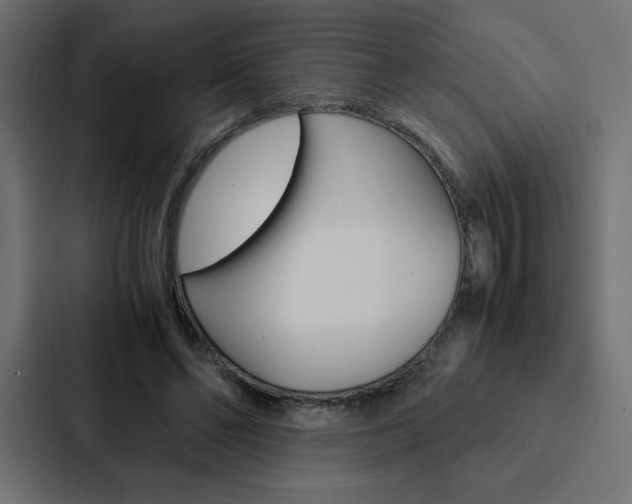 X0000088190494200705151002