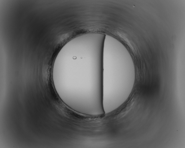 X0000088190495200705151002