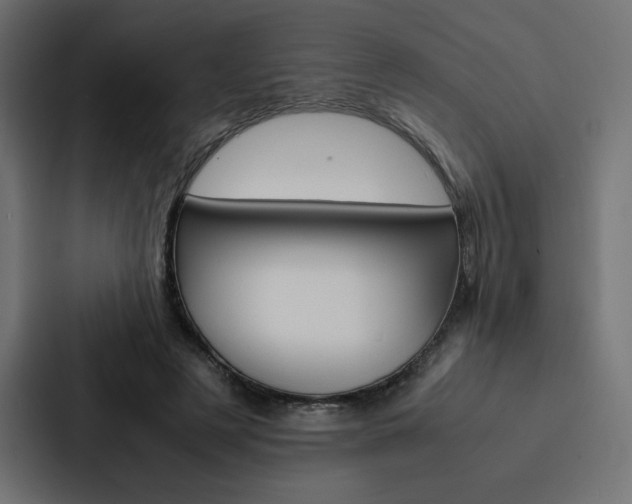 X0000088190497200705151002