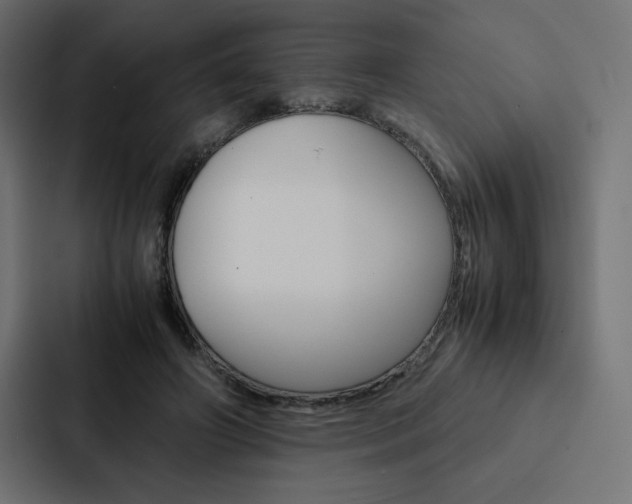 X0000088190498200705151002