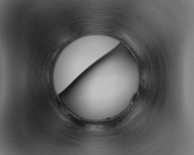X0000088190500200705151002