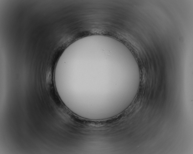 X0000088190502200705151002