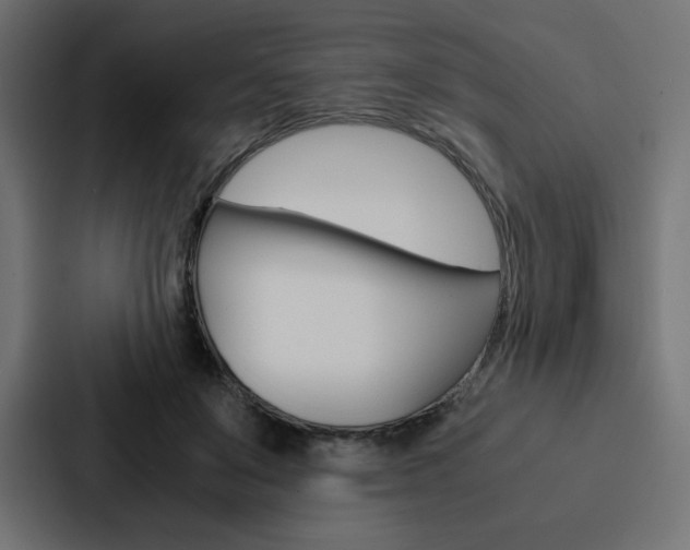 X0000088190503200705151002
