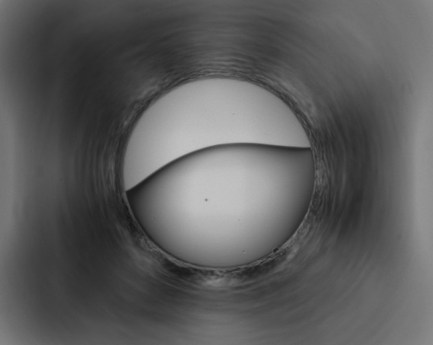 X0000088190504200705151002