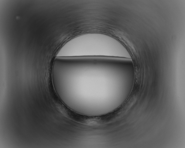 X0000088190505200705151002