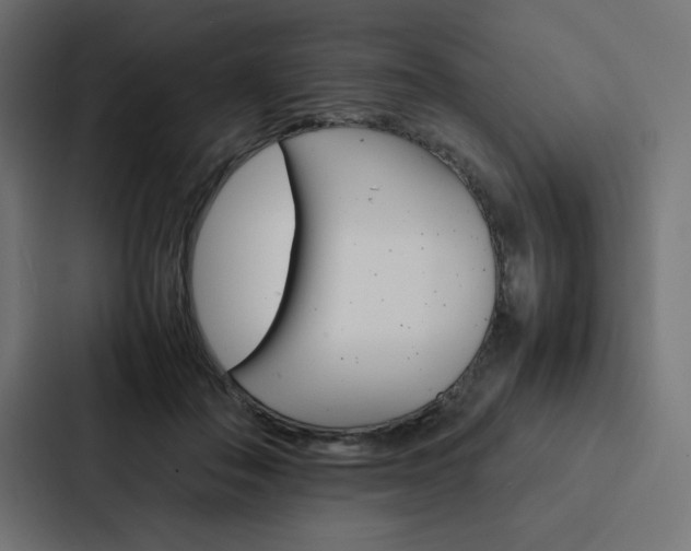 X0000088190506200705151002