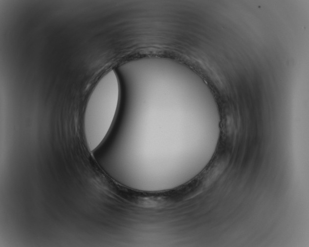 X0000088190508200705151002