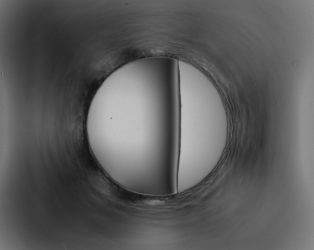 X0000088190509200705151002