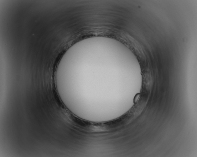 X0000088190510200705151002