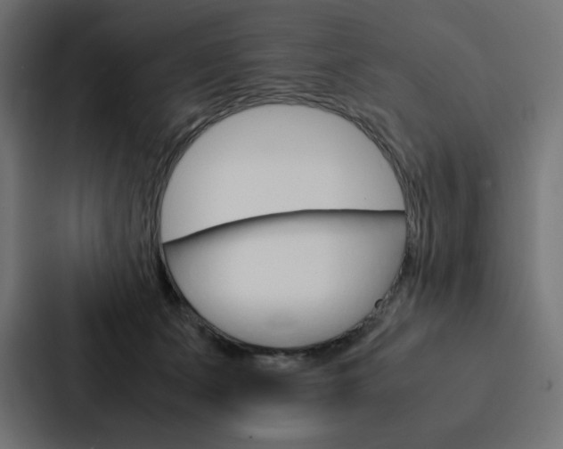 X0000088190511200705151002